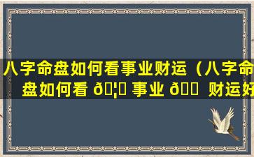 八字命盘如何看事业财运（八字命盘如何看 🦟 事业 🐠 财运好不好）